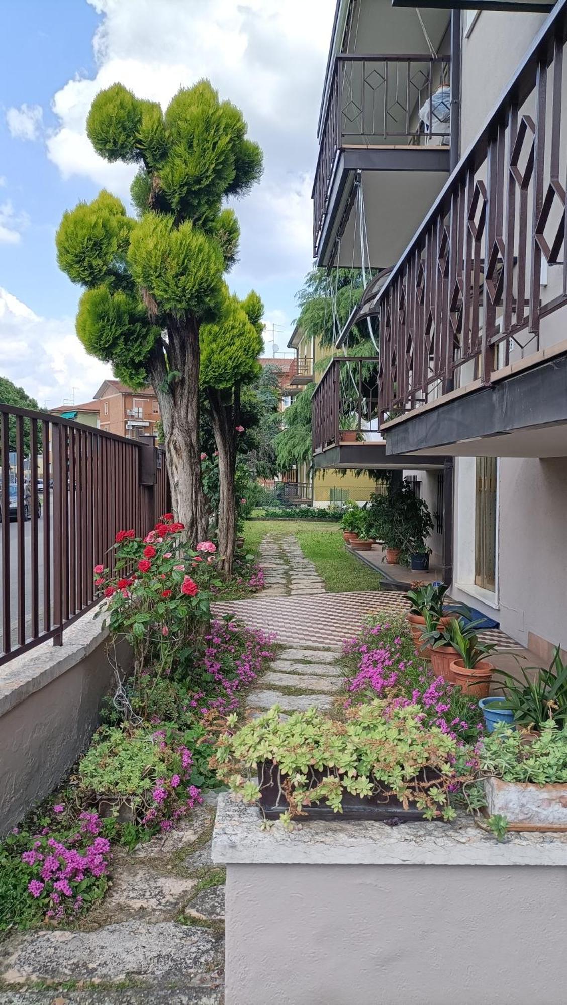 B&B Il Mondo Di Ross Verona Buitenkant foto